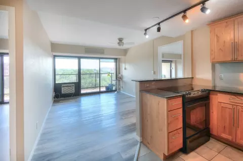417 E Kiowa St #707, Colorado Springs, CO 80903