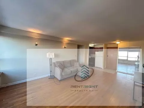 4180 N Marine Dr #1309, Chicago, IL 60613