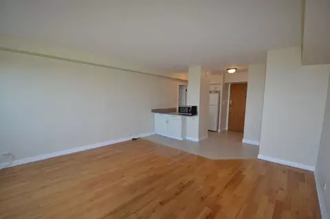 4180 N Marine Dr #1306, Chicago, IL 60613