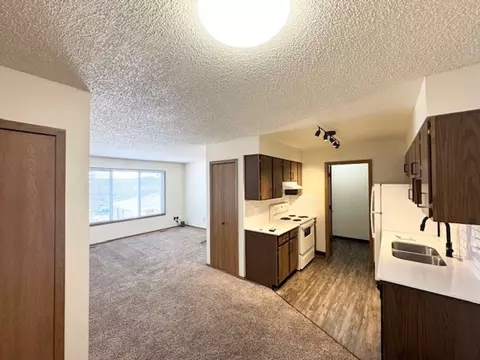 610 N Coraline St #3, Woodland Park, CO 80863
