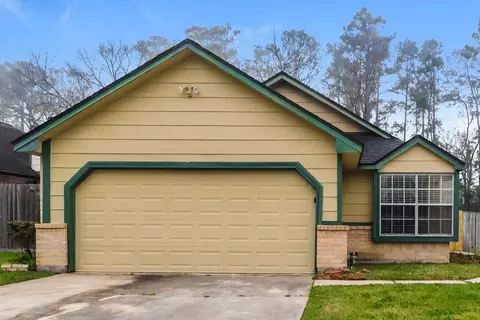 22955 Red Leo Ln, Spring, TX 77389