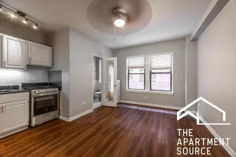1140 N La Salle Dr #333, Chicago, IL 60610