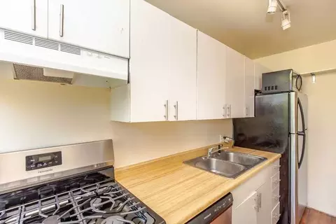 1050 W Dickens Ave #4, Chicago, IL 60614