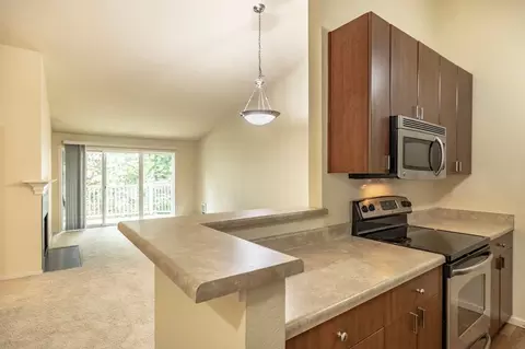 16101 Bothell Everett Hwy #E304, Mill Creek, WA 98012 photo 4