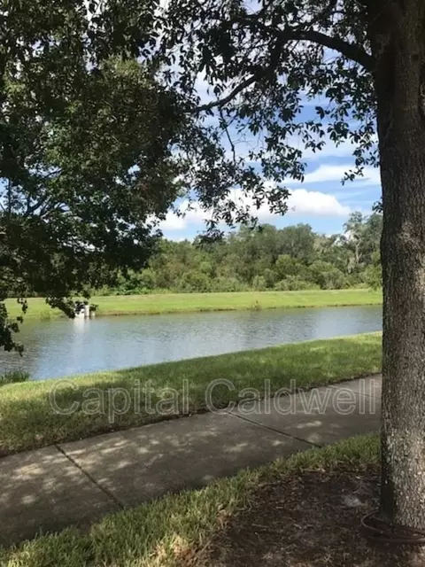 7013 Timberside Pl, Riverview, FL 33578 photo 23