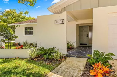 del prado dr e, Largo, FL 33774 photo 35