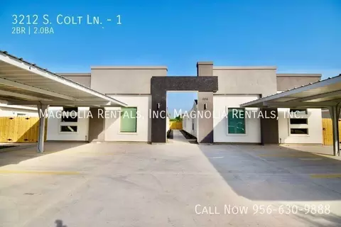 3212 S Colt Ln #1, Edinburg, TX 78539