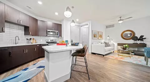 201 Wolf Ranch Pkwy #A1, Georgetown, TX 78628