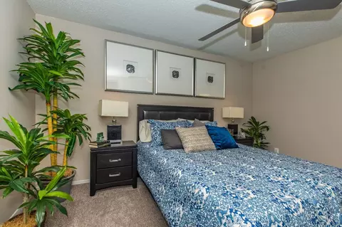 2115 Estrada Pkwy, Irving, TX 75061 photo 80