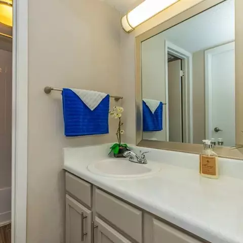 2115 Estrada Pkwy, Irving, TX 75061 photo 13