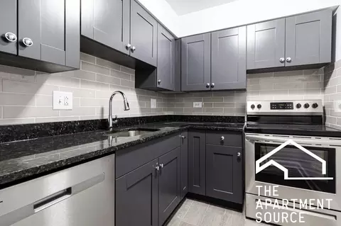3825 N Pine Grove Ave #311, Chicago, IL 60613