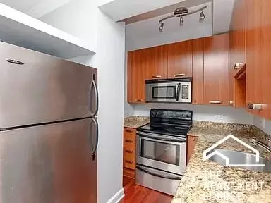 732 W Bittersweet Pl #306, Chicago, IL 60613