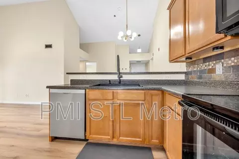 6303 Spring River Dr, O'fallon, MO 63368 photo 23