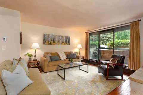 e hopkins ave, Aspen, CO 81611