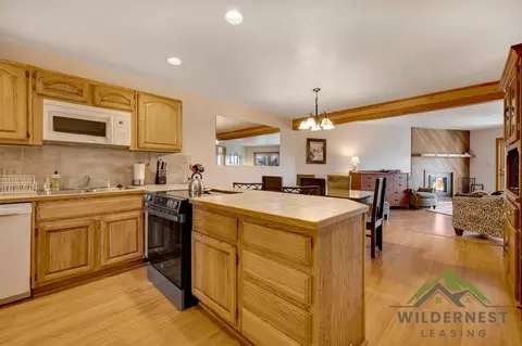 94300 Ryan Gulch Rd, Silverthorne, CO 80498