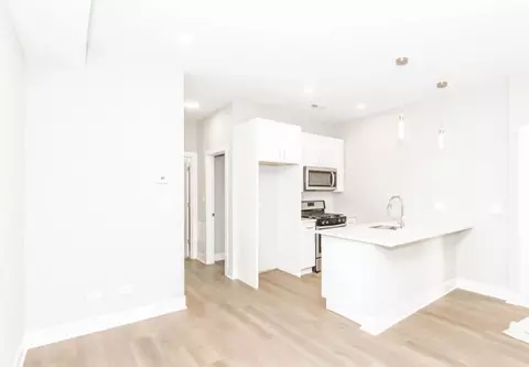 1319 W Cullerton St - Ch 1f, Chicago, IL 60608
