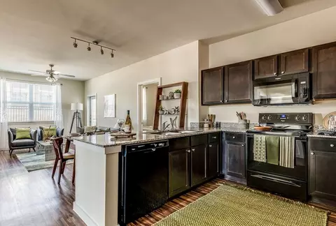 1406 Columbus St #100.15, Houston, TX 77019