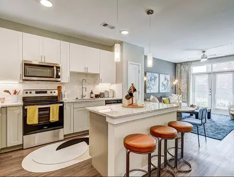 2507 N Frazier St #331-451, Conroe, TX 77303