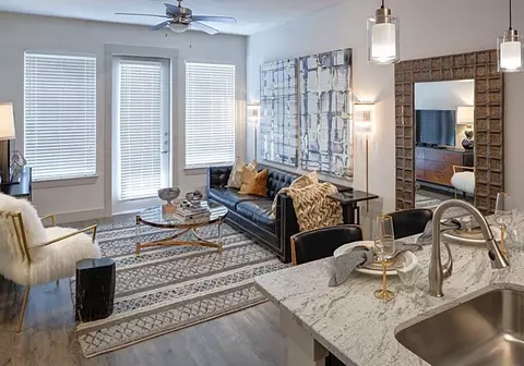 1419 Montrose Blvd #12051, Houston, TX 77019