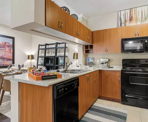 13100 W Bellfort Ave #21.257, Houston, TX 77099