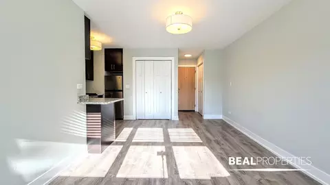 445 W Barry Ave #326S, Chicago, IL 60657