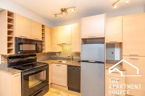 732 W Bittersweet Pl #503, Chicago, IL 60613