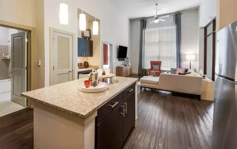 1610 Frisco Square Blvd #2.368, Frisco, TX 75034