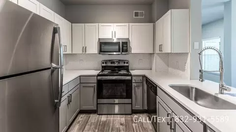 25315 Borough Park Dr #ALX, The Woodlands, TX 77380