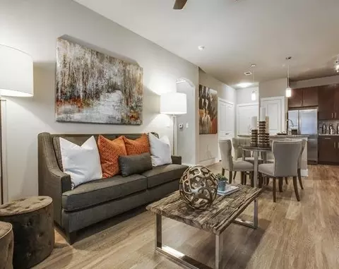 610 Via Ravello #1064, Irving, TX 75039