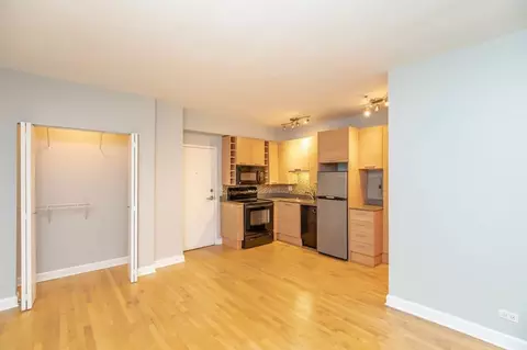 732 W Bittersweet Pl #503, Chicago, IL 60613