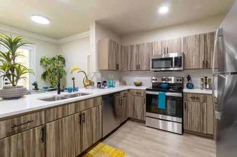 4001 Fannin St #4M1, Houston, TX 77004