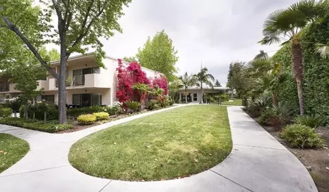 miller ave, Cupertino, CA 95014