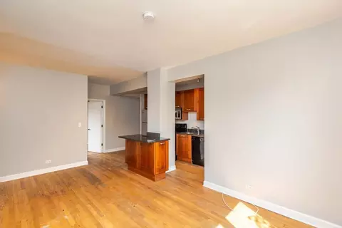 732 W Bittersweet Pl #1204, Chicago, IL 60613