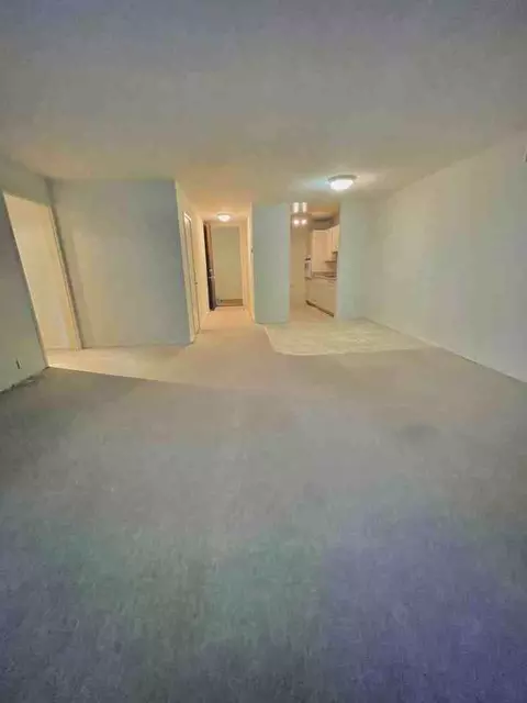 1550 Walnut St #03, Berkeley, CA 94709 photo 4