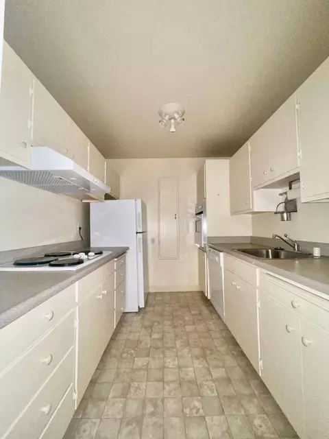 1550 Walnut St #03, Berkeley, CA 94709 photo 6