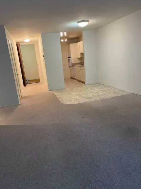 1550 Walnut St #03, Berkeley, CA 94709 photo 5