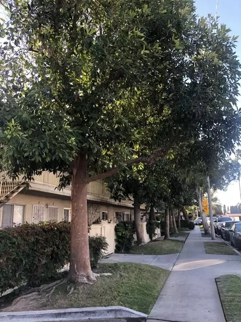 518 N Anna Dr #530I, Anaheim, CA 92805