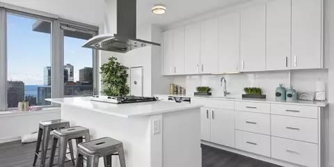 1201 N La Salle Dr #STUIDO, Chicago, IL 60610