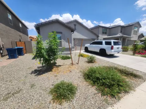 13258 E Sunflower Ln, Florence, AZ 85132