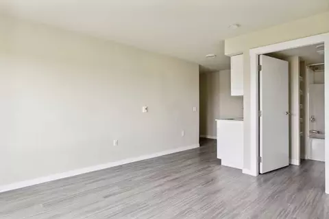 7339 43rd Ave S, Seattle, WA 98118 photo 74