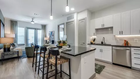 Undisclosed, Frisco, TX 75033