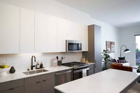 1105 Pleasant St #1-1, Oak Park, IL 60302