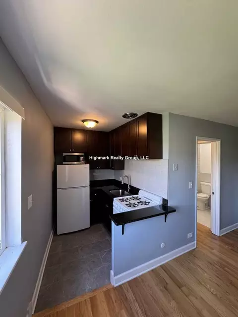663 W Grace St #101, Chicago, IL 60613