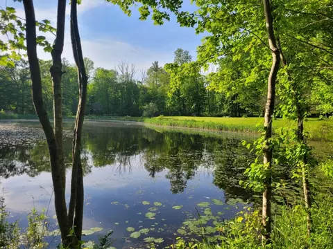 129 Palmer Rd, Chaplin, CT 06235