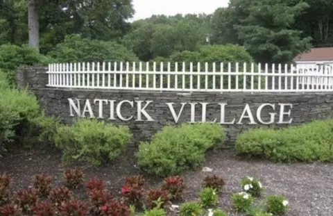 59 Village Brook Ln #8, Natick, MA 01760