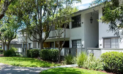 lucille ave, Cupertino, CA 95014