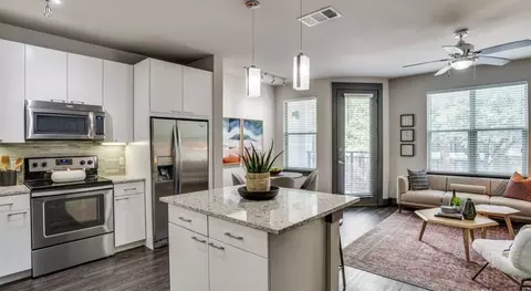 Undisclosed, Dallas, TX 75219