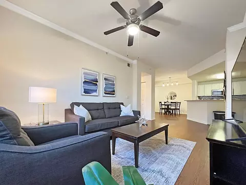 9533 Magnolia Blossom Dr #1050963P, Westchase, FL 33626