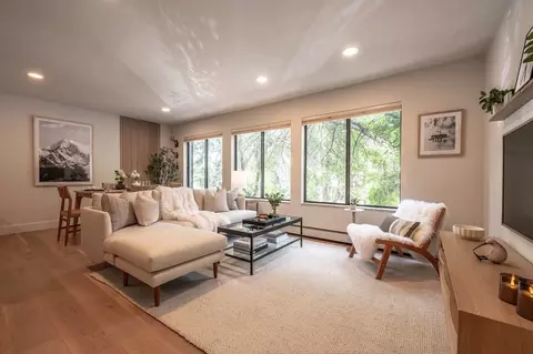 725 E Main St #1241249P, Aspen, CO 81611