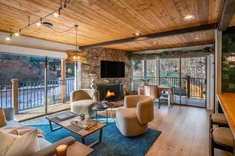 601 S Monarch St #1036620P, Aspen, CO 81611